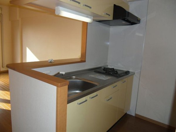 フェイムイッサ キッチン