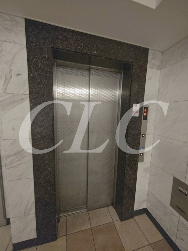 シュールフローレ その他19