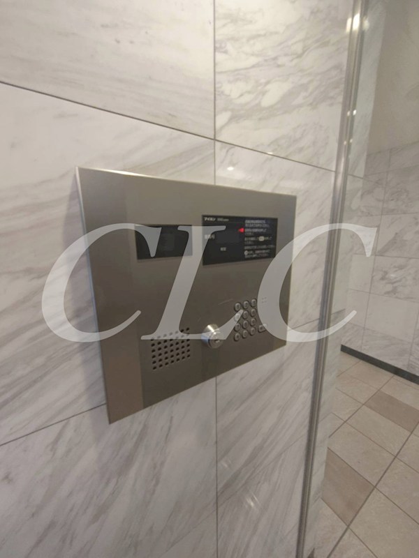 シュールフローレ その他20