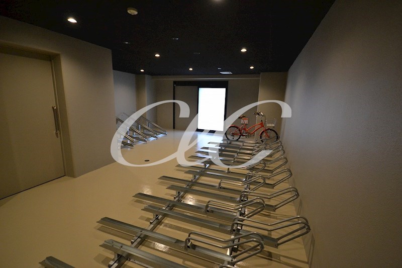 フュージョナル千住緑町 その他8