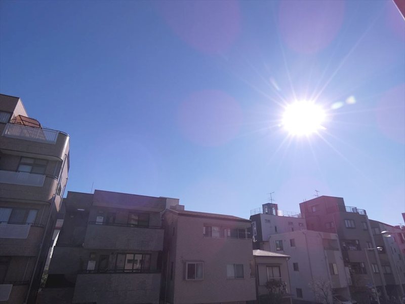 サンハイムＳ  その他12