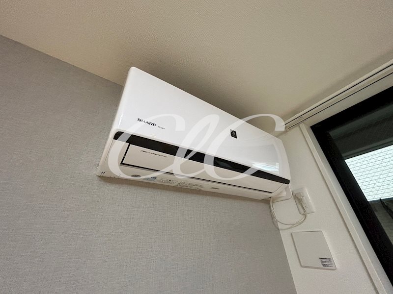 ラ　ヴェリタ その他5