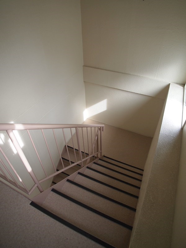 ハイブリード   その他8