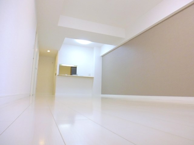 カスタリア茅場町  リビング