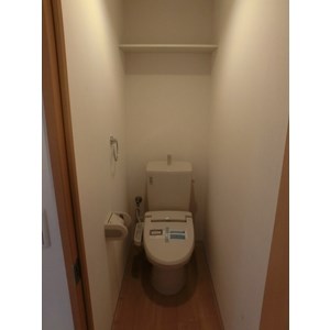 Y`S Happiness その他2