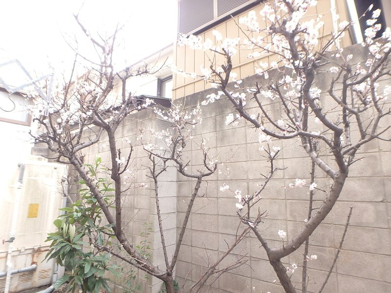 エスポワールＴＳＵＲＵＧＩ その他6