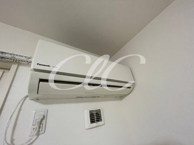 ラッテ  その他3