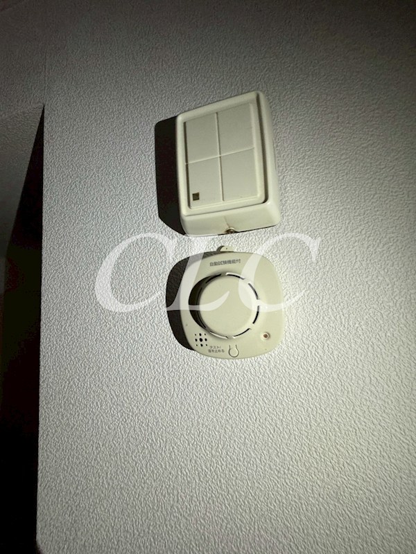 スパローハイツ その他4