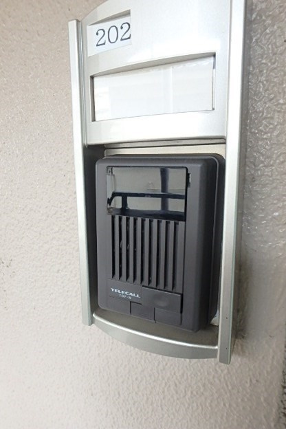 サリダ その他4