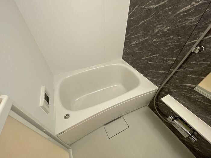 ルリアン綾瀬Ⅱ 風呂画像