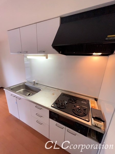 グリシーヌ   その他15