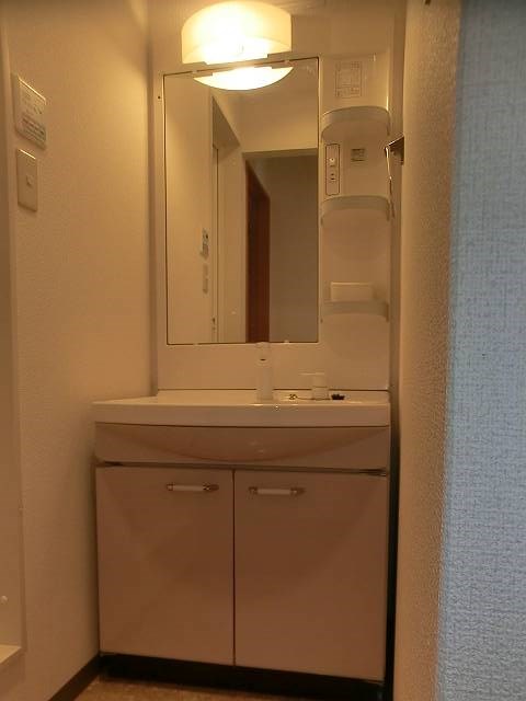 court pinetail  その他1