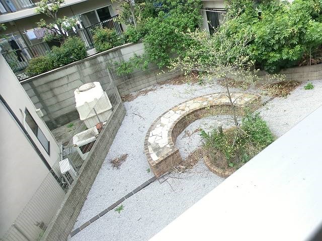 court pinetail  その他3