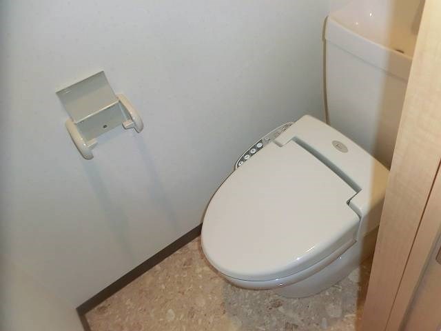 court pinetail  その他4