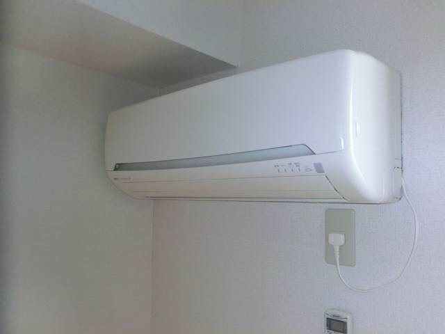 court pinetail  その他5