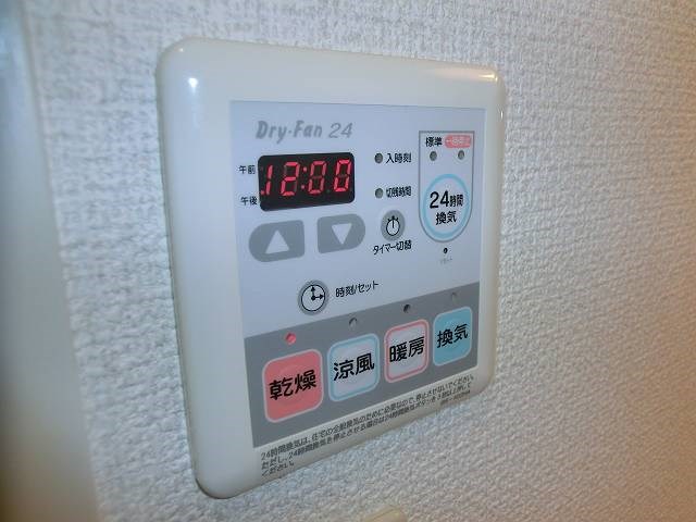 court pinetail  その他7