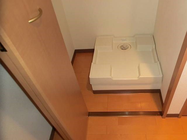 court pinetail  その他8