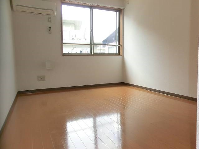 court pinetail  その他9