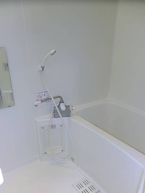 court pinetail  その他11