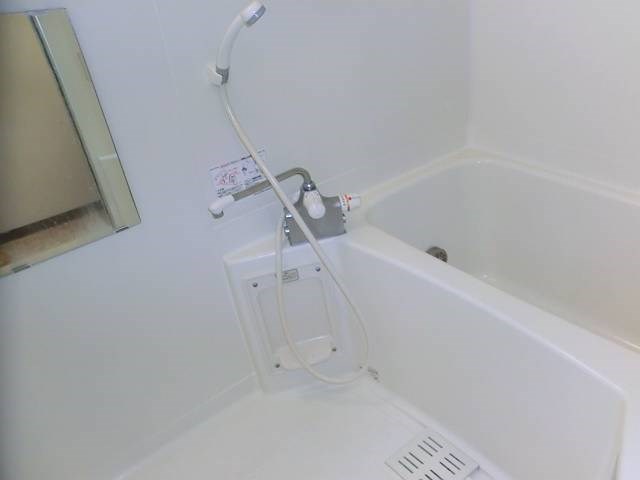 court pinetail  風呂画像