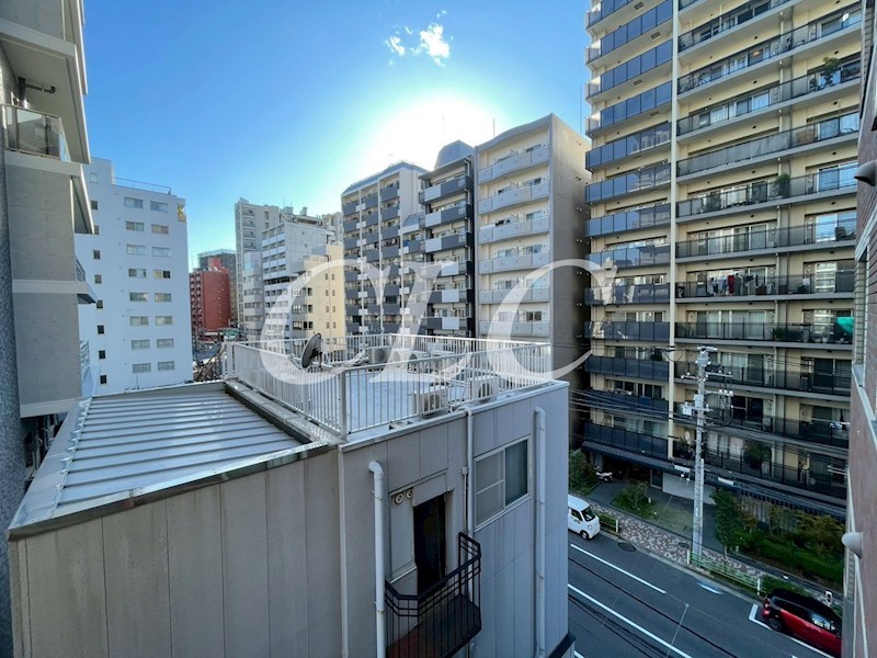 ラフィーヌ入谷 その他1