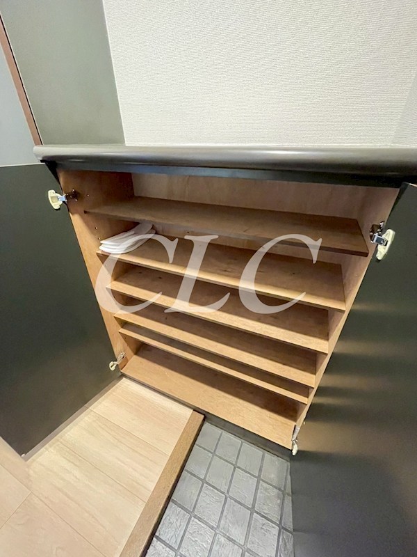 ラフィーヌ入谷 その他9