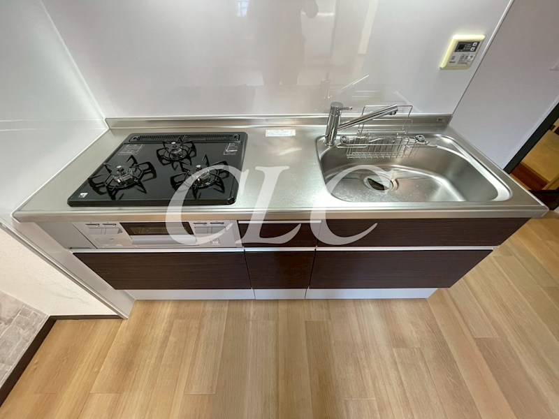 ラフィーヌ入谷 その他10