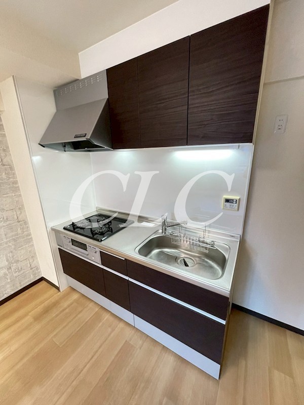 ラフィーヌ入谷 キッチン