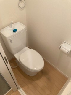 しらかば    その他2