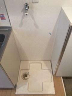 しらかば    その他3