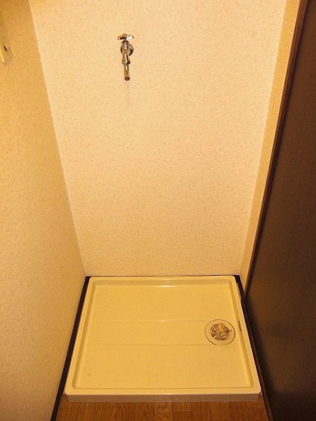 エレガント その他1