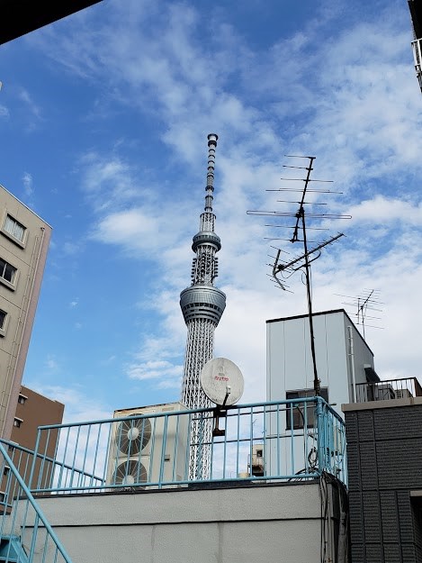 マレアクレシエンテ その他4