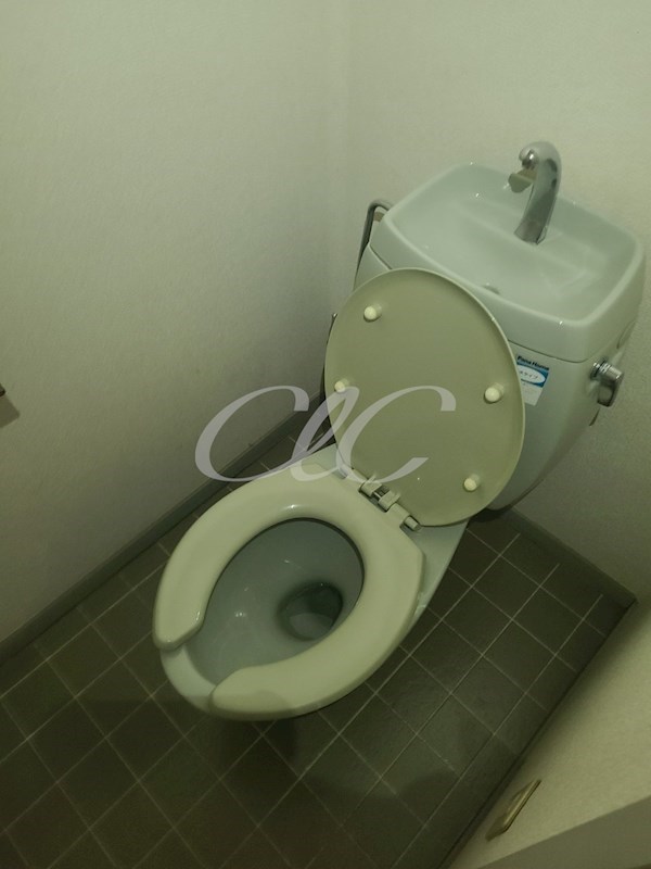 アイランド小菅 その他5