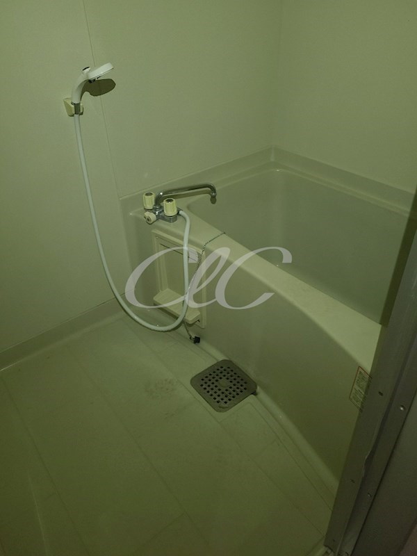 アイランド小菅 風呂画像