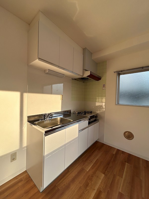 ジュネスラヤマ キッチン