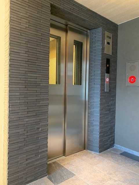 Alviness Kei    その他4