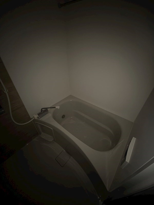 ハピネス平井  風呂画像