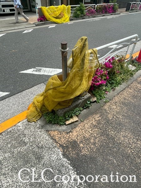 ロータスレジデンス住吉 その他8