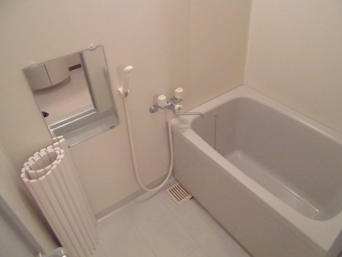 シャンティオン  風呂画像