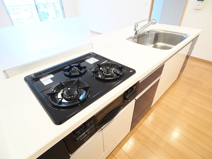 ロイヤルパークス梅島 その他9