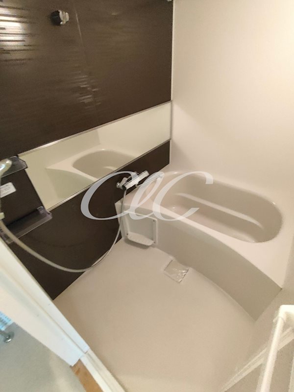 グラフィティ西新井 風呂画像