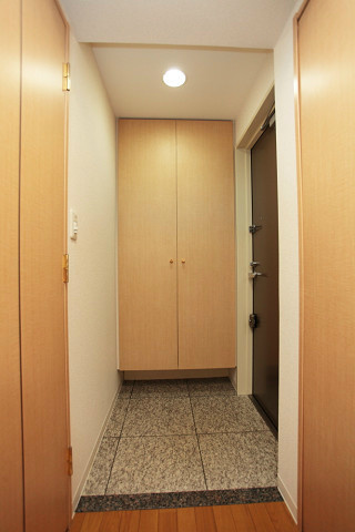 カスタリア新富町 玄関