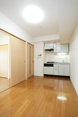 カスタリア新富町 リビング