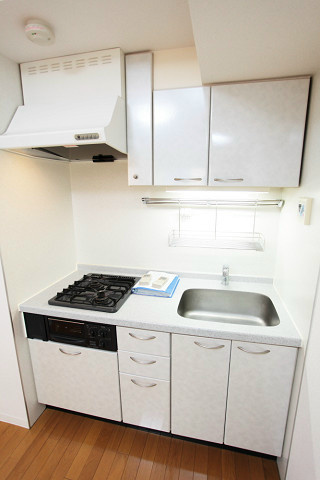 カスタリア新富町 キッチン