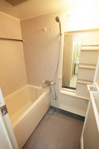 カスタリア新富町 風呂画像