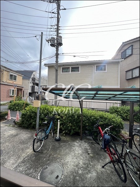 パインニードル その他9