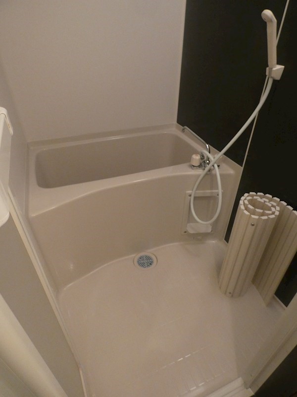 Bonheur新小岩 風呂画像