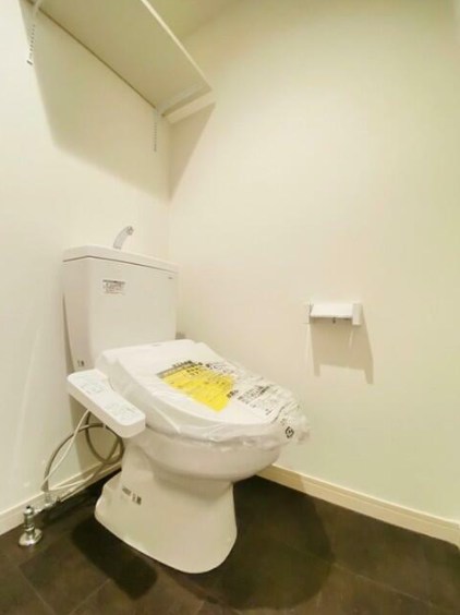 H.A.Stella  その他3