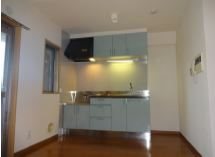 ラウンドタワーオペリア キッチン