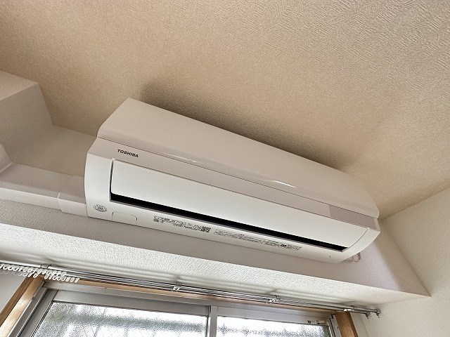 エバーグリーン その他5